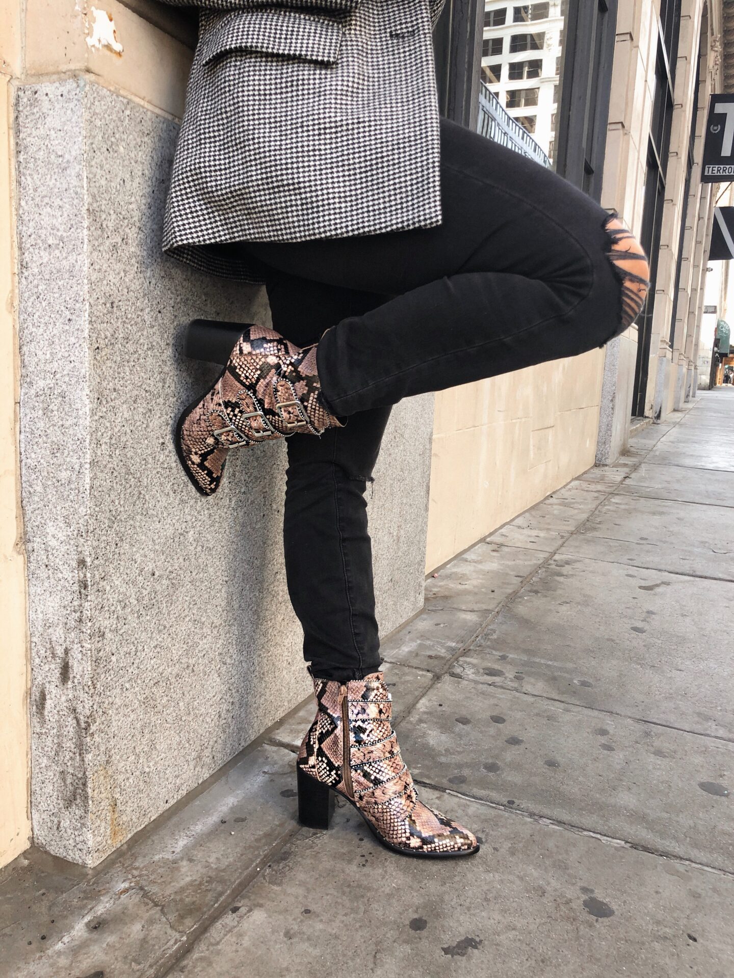 sustracción aleación Charlotte Bronte Latest Obsession: My Snake Print Steve Madden Booties from Zappos | Hello  Darling Blog